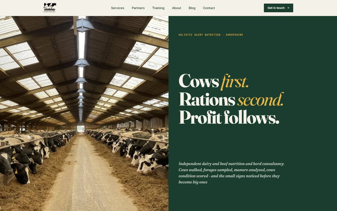 Cowcentric homepage with a dairy barn photograph and dark green editorial headline panel